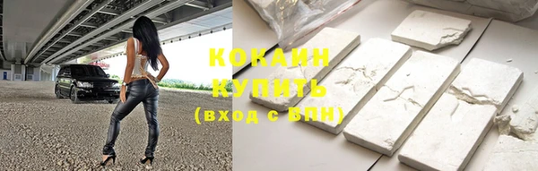 соль ск Новозыбков