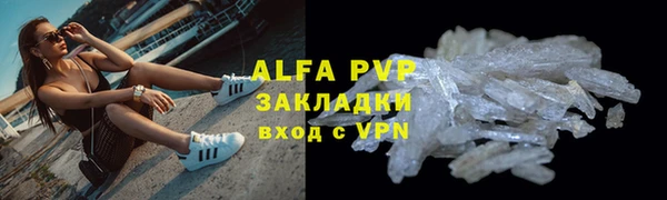 соль ск Новозыбков