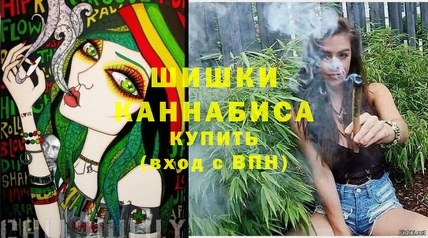 мдпв Новодвинск