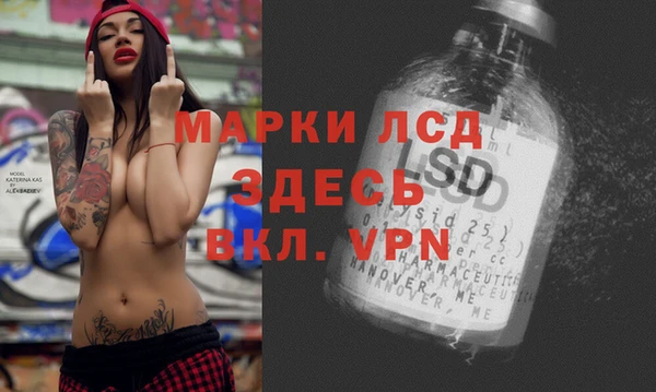 соль ск Новозыбков
