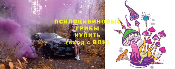 ГАЛЛЮЦИНОГЕННЫЕ ГРИБЫ Видное