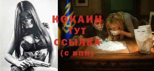 соль ск Новозыбков