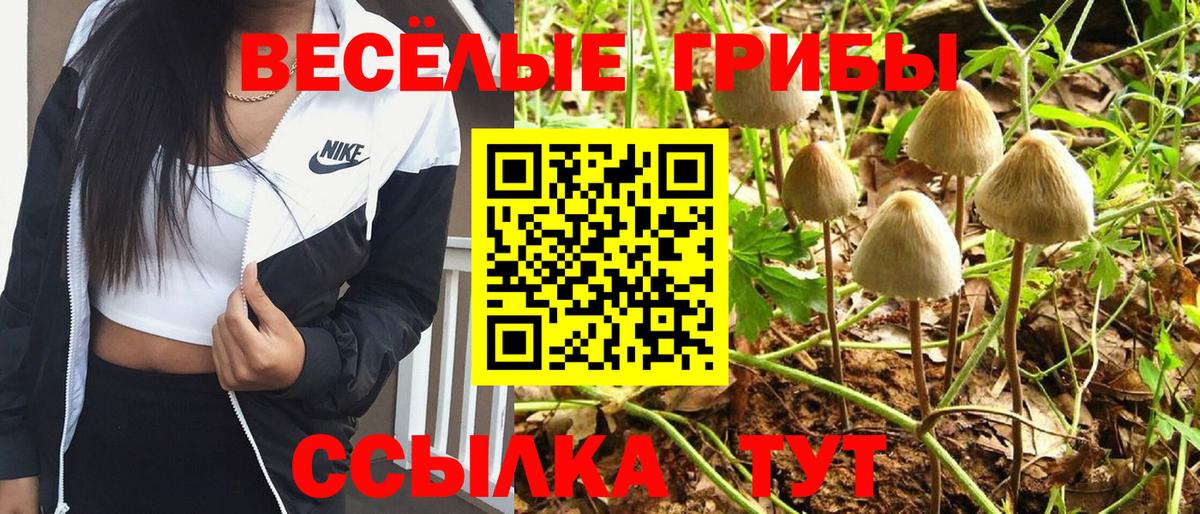 Галлюциногенные грибы Cubensis  купить   Рославль  Галлюциногенные грибы MAGIC MUSHROOMS  Вход с VPN 