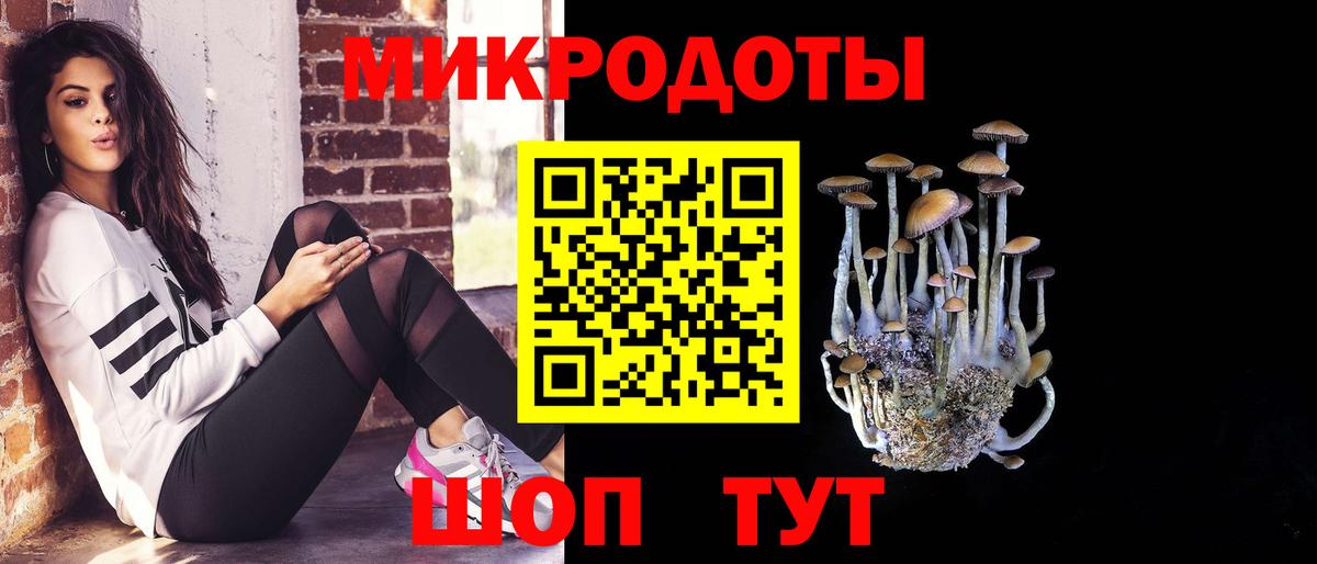 Псилоцибиновые грибы Psilocybine cubensis Рославль